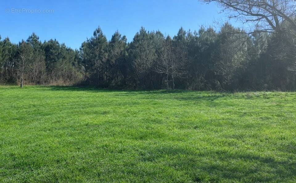 Terrain à SALLES