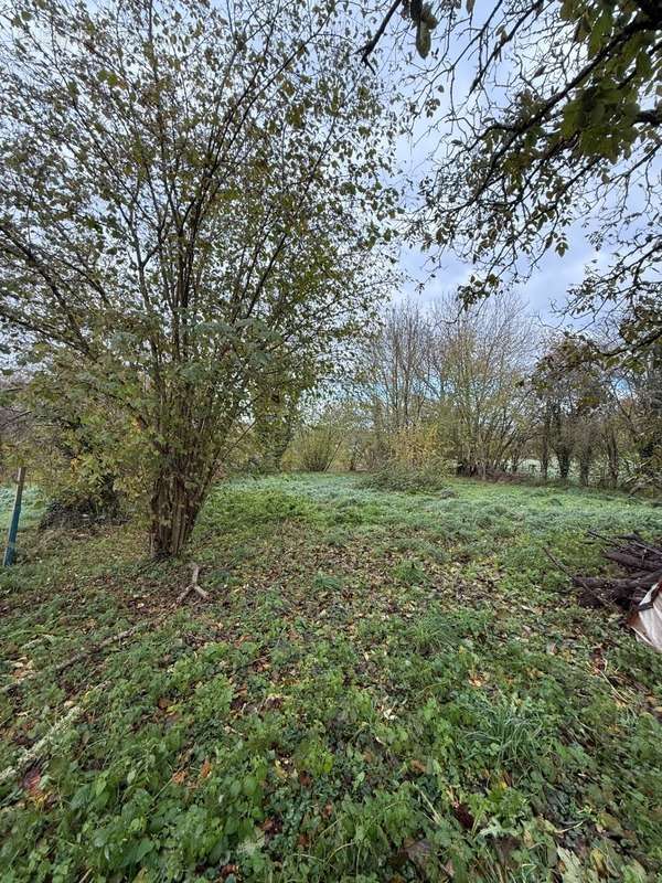 Maison à SAINT-LEGER-BRIDEREIX