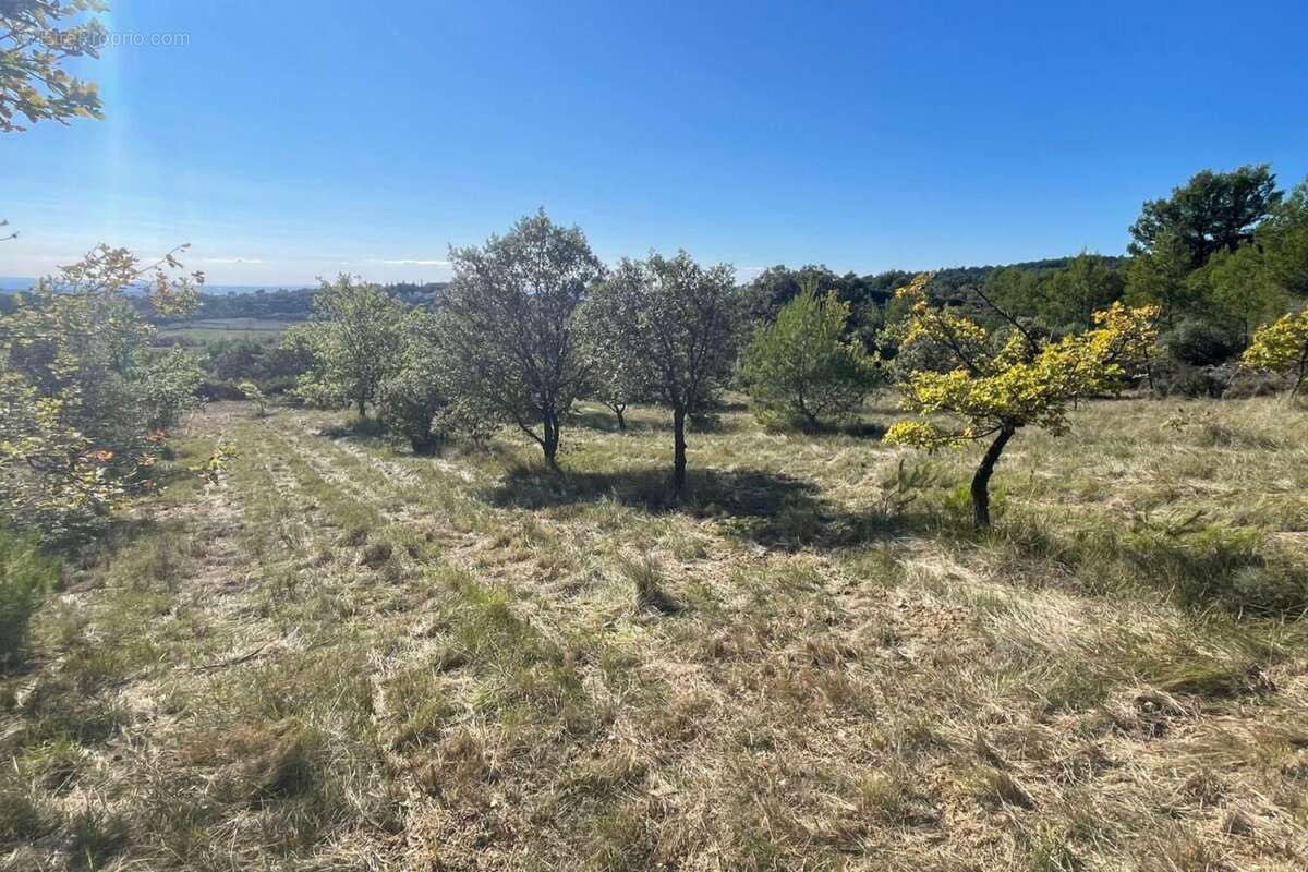 Terrain à CRILLON-LE-BRAVE