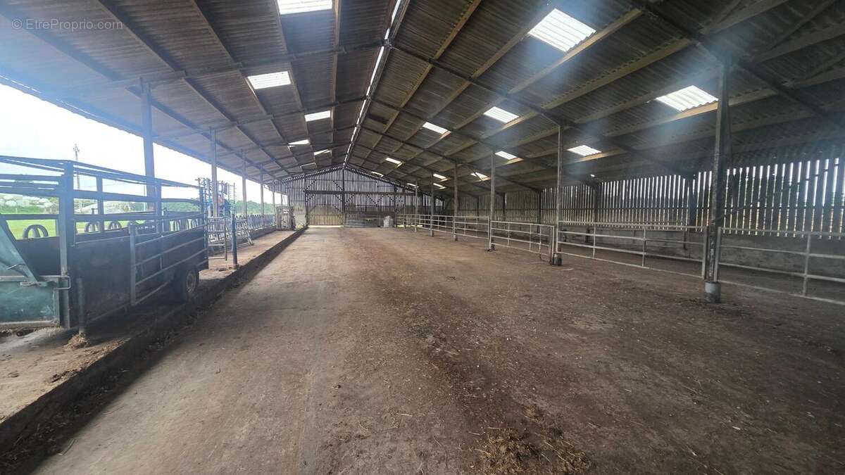 Photo 5 - Terrain à BAUGE