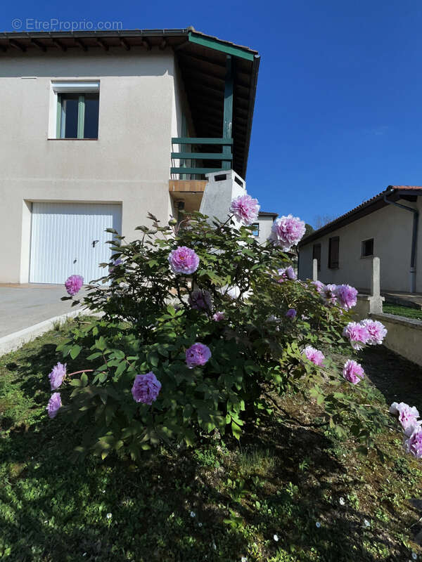 Maison à MAUVEZIN