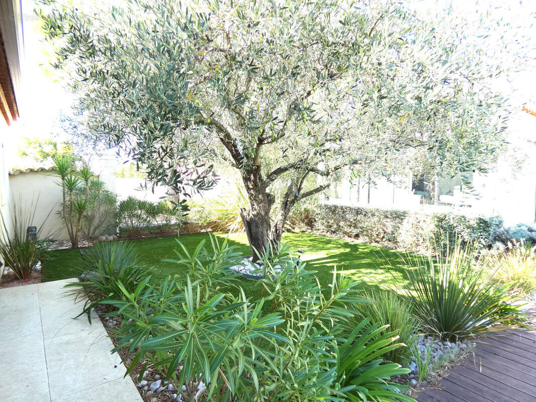 Maison à BOISSET-ET-GAUJAC