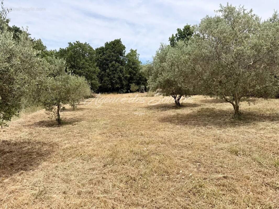 Terrain à BRUE-AURIAC