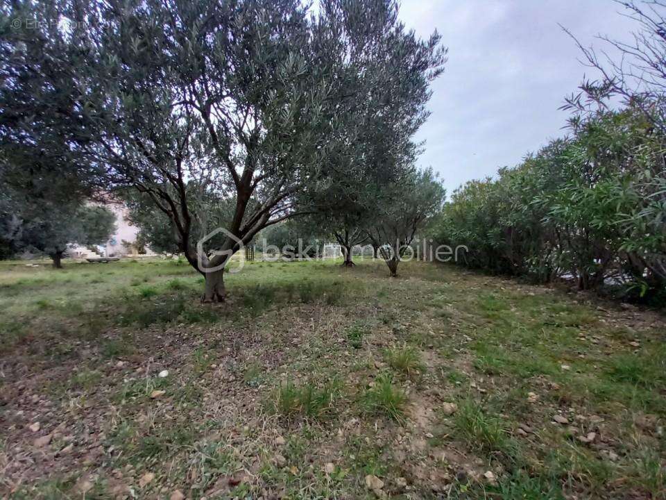 Terrain à CLERMONT-L'HERAULT