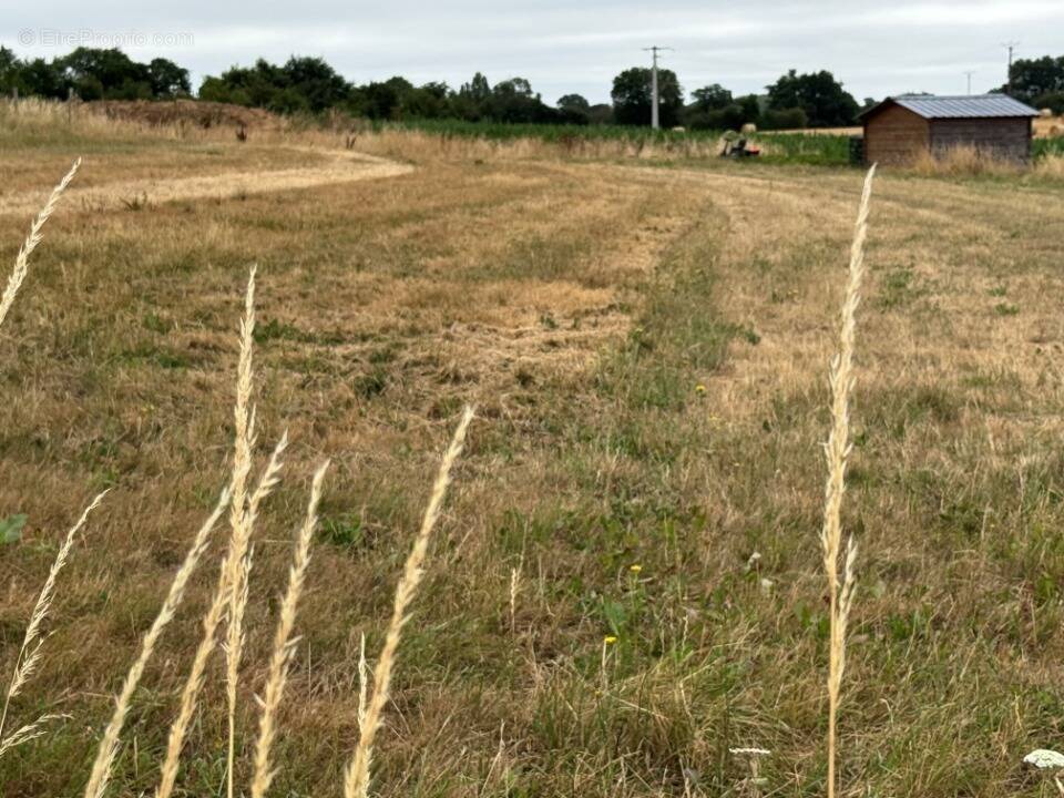 Terrain à SACE