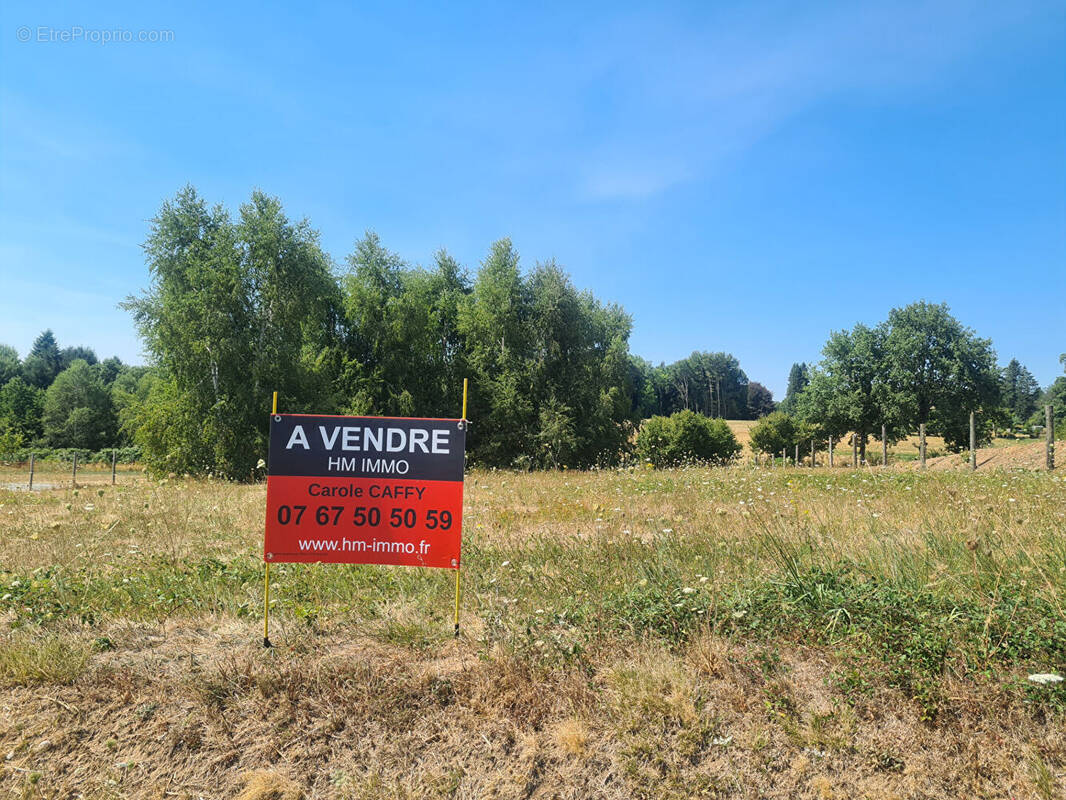 Terrain à BUSSIERE-GALANT