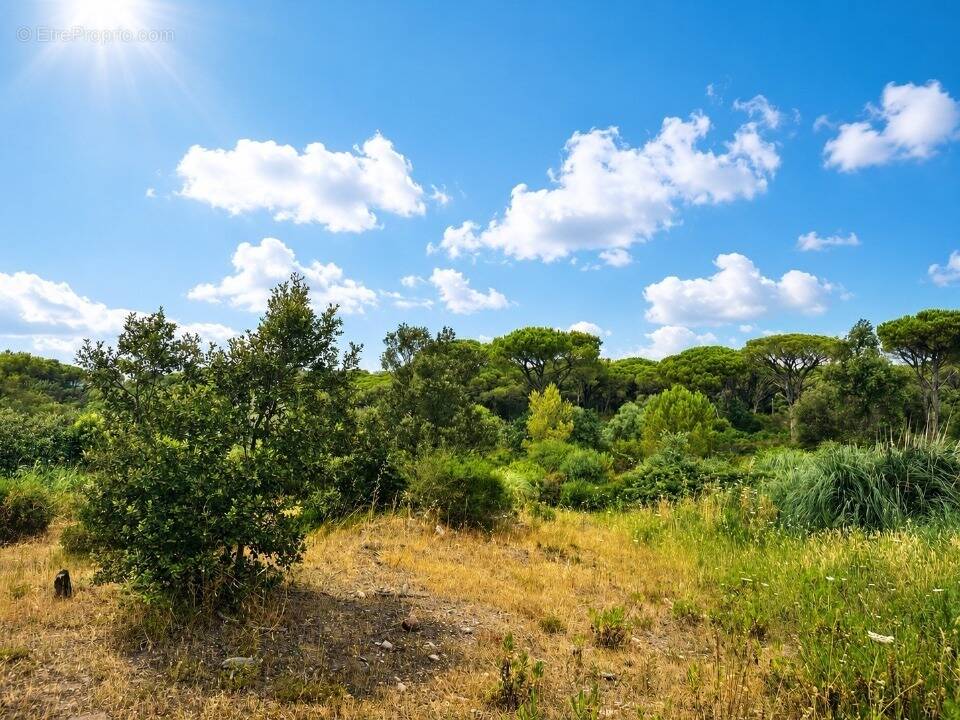 Terrain à FREJUS
