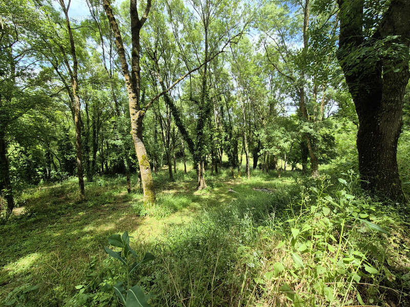A vendre maison en Pierre - Dépendances – 1 Hectare – 32700 Castéra-Lectourois, Gers - photo 18