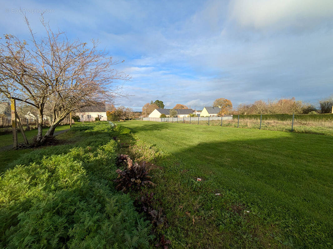 Terrain à SAINT-DOLAY