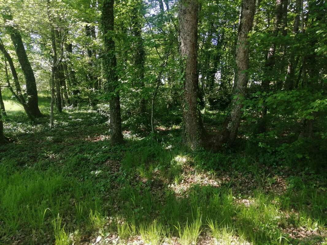 Maison à SAINT-BEAUZILE