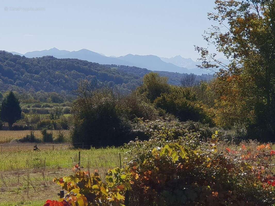 MV1 ss - Maison à BONREPOS