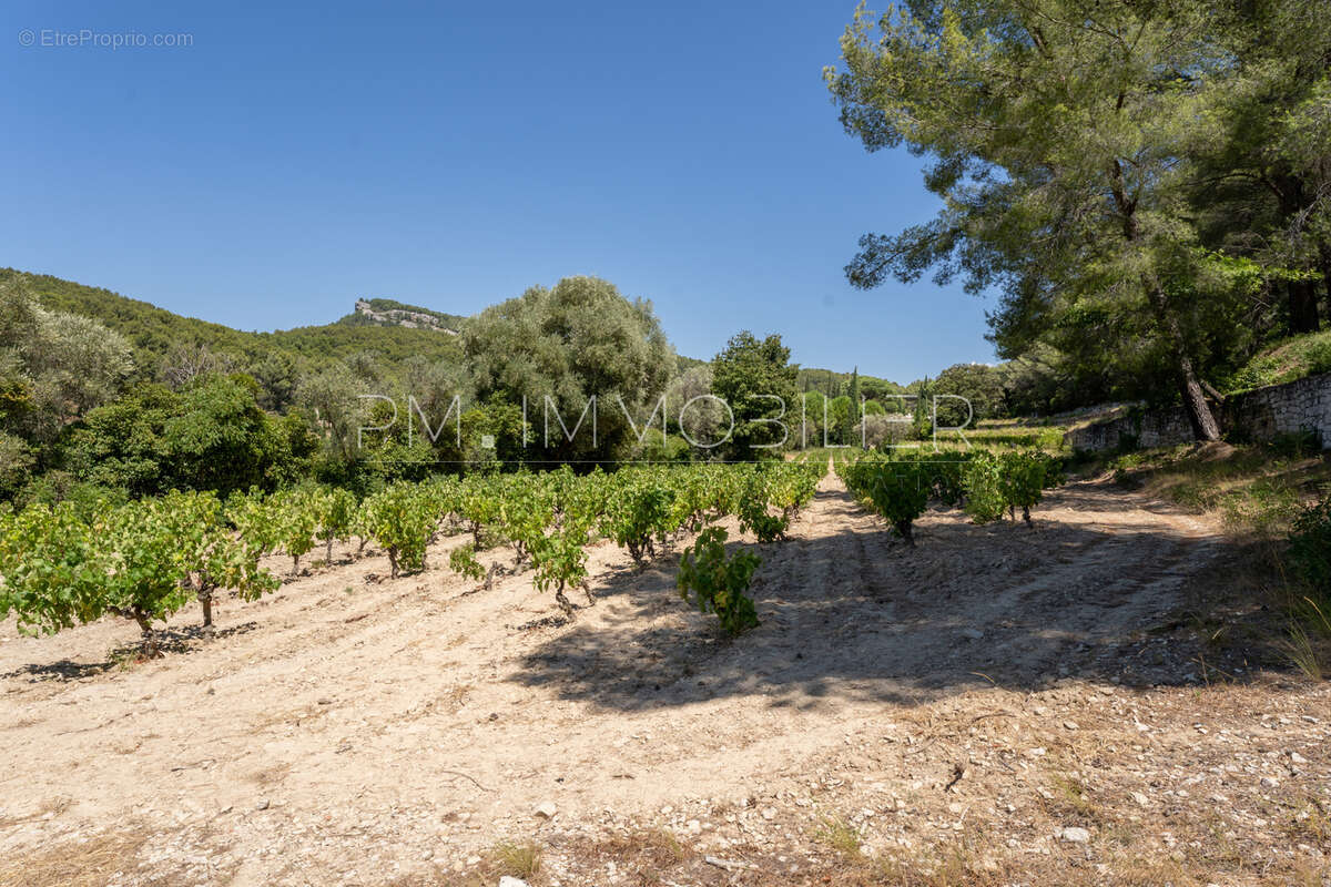 Maison à CASSIS