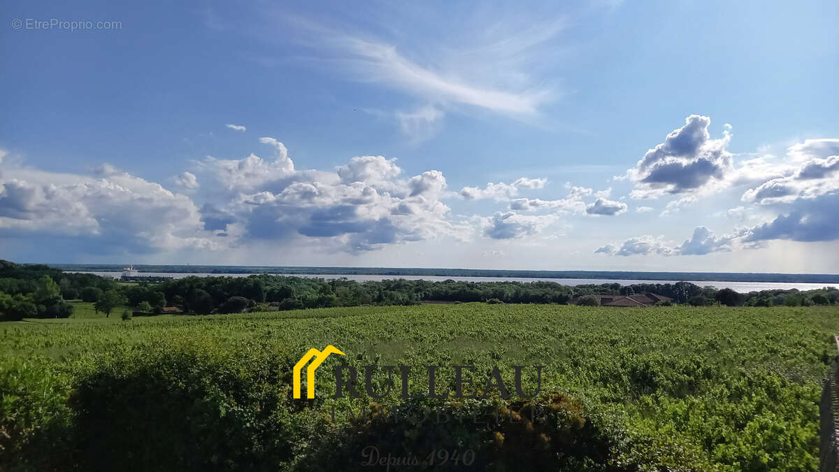 Maison familiale avec vue estuaire, terrasse et grand terrain arboré à Plassac - photo 4