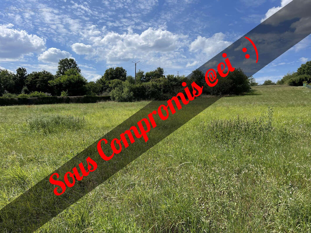 Terrain constructible de 3200 m2 - photo 2