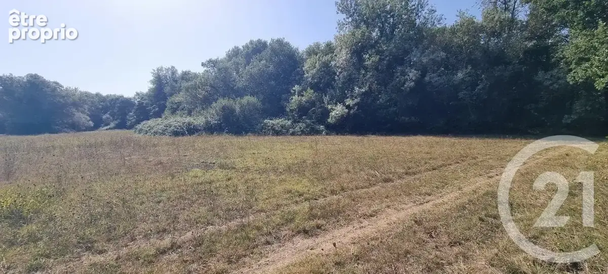 Terrain 6 305 m² à vendre à Argeles-Sur-Mer (66700) - photo 3