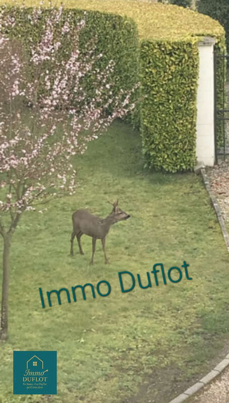 Maison à SAINT-AMAND-LES-EAUX