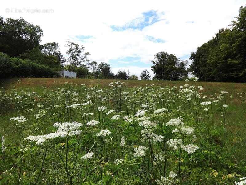 Terrain 4019 m² à Auneuil  - photo 3