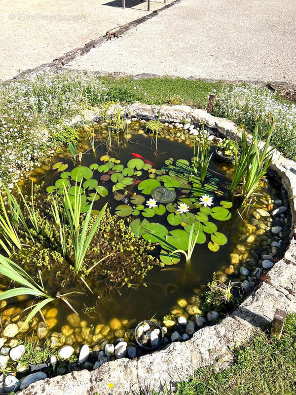 Près de Verteuil-sur Charente, Charmante Maison de Village Indépendante en Pierre, Vue, Superbes Jardins Champêtres - photo 8