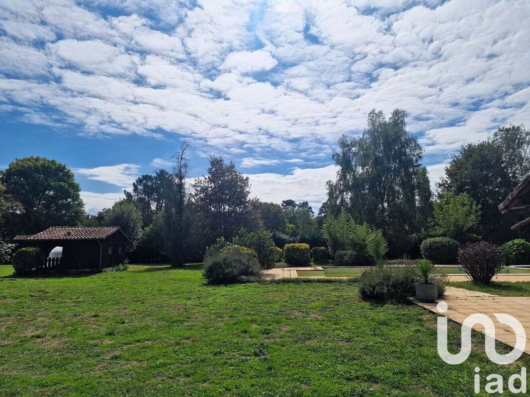 Photo 5 - Maison à UCHACQ-ET-PARENTIS