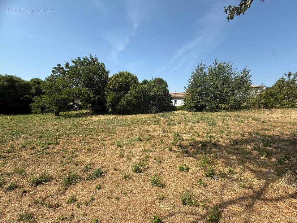 Terrain à CARNOULES