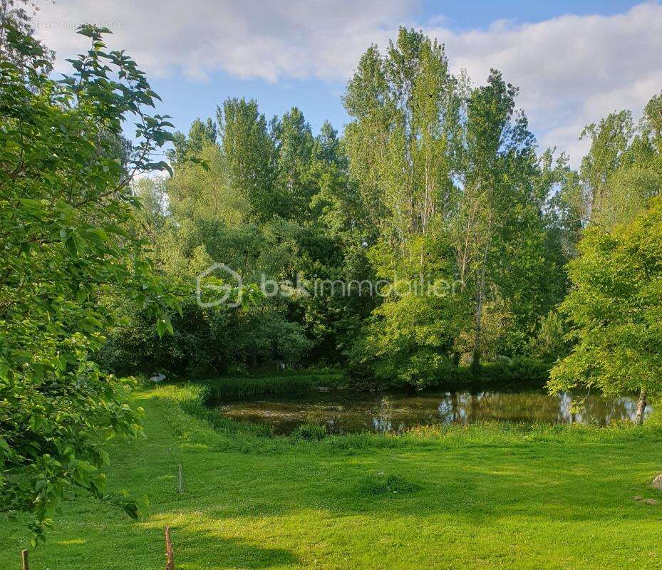 Maison en pierre + gite - etang- 2 piscines- parcelle 8745 m² -st pierre de clairac - photo 6