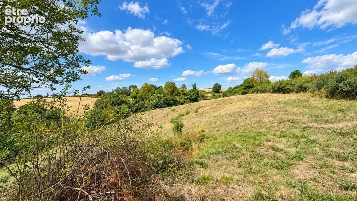 Maison au calme avec grand terrain de 1,8 hectare – Un cadre de vie privilégié - photo 15