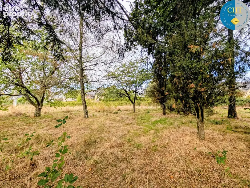 Terrain à PLELAN-LE-GRAND