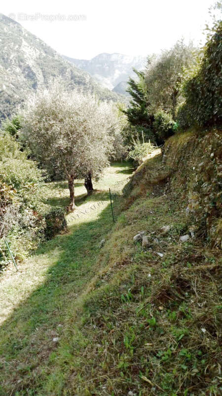 Maison à BREIL-SUR-ROYA