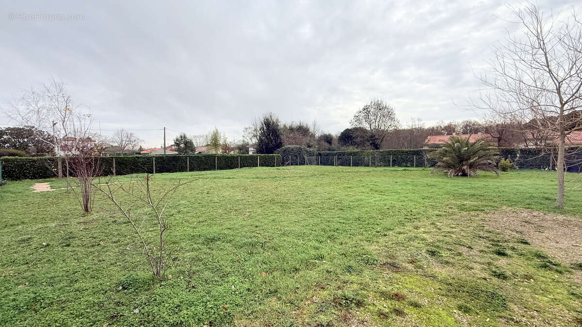 Terrain à PLAISANCE-DU-TOUCH