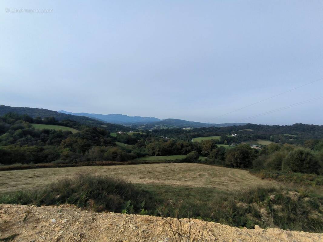 Terrain à MONCAYOLLE-LARRORY-MENDIBIEU