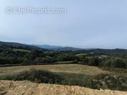 Terrain à MONCAYOLLE-LARRORY-MENDIBIEU