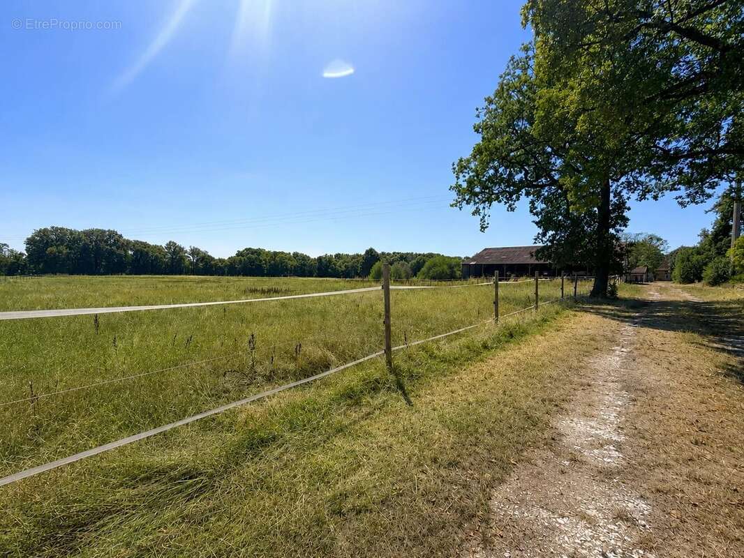 Propriété de caractère en pierres – Domaine équestre sur près de 6 hectares - photo 28