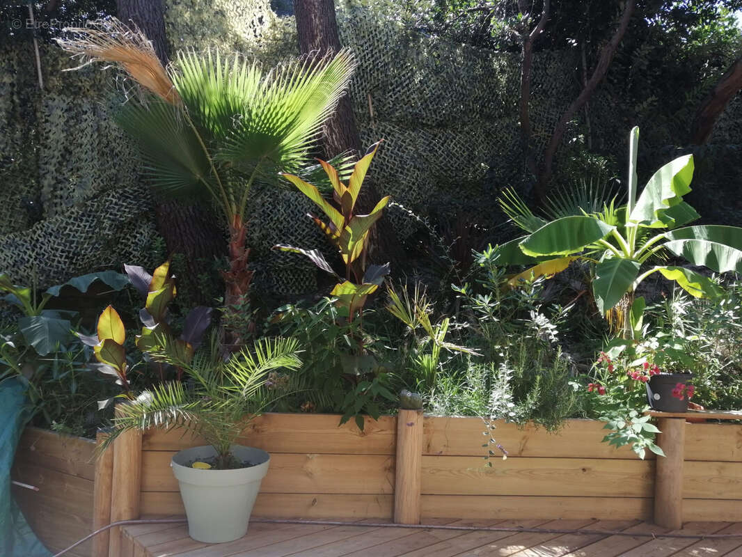 Appartement à LACANAU