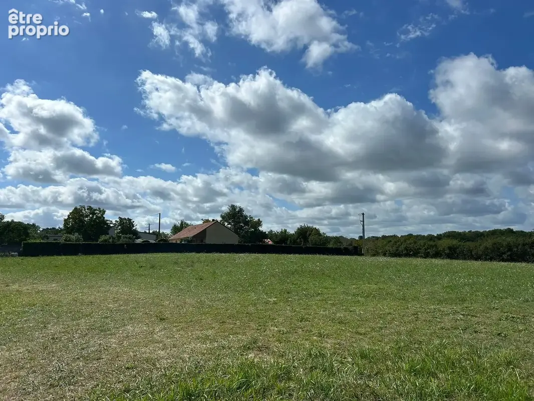 Terrain plat de 7246 m2 - photo 2