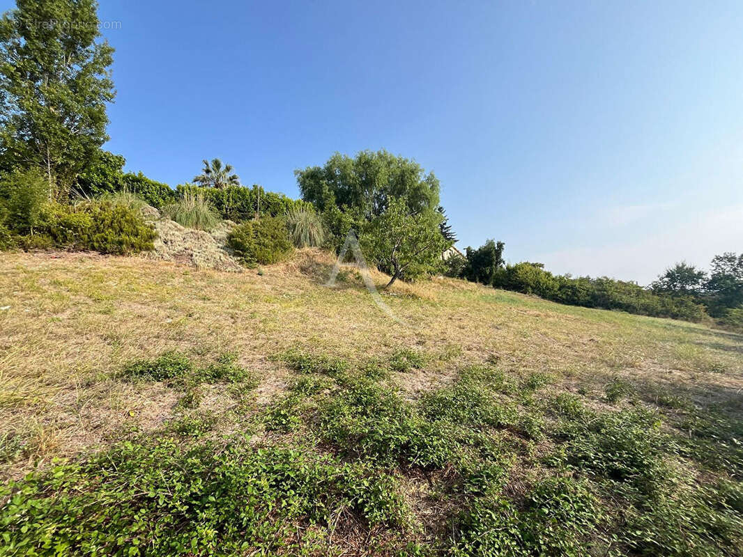 Terrain à Rabastens de 1252 m² ! - photo 3