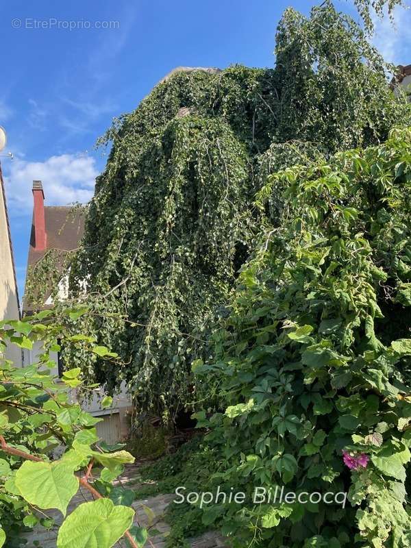 Maison à SAINT-PRIX