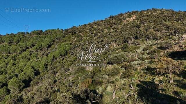Terrain à BORMES-LES-MIMOSAS