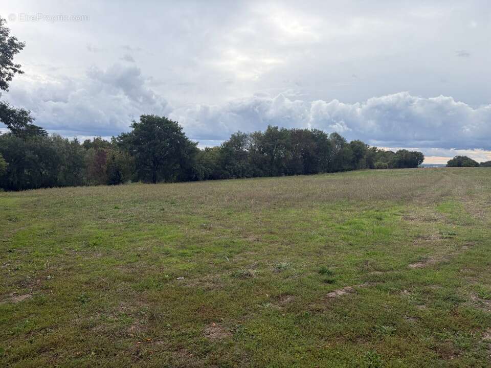 Terrain à MONTASTRUC-LA-CONSEILLERE