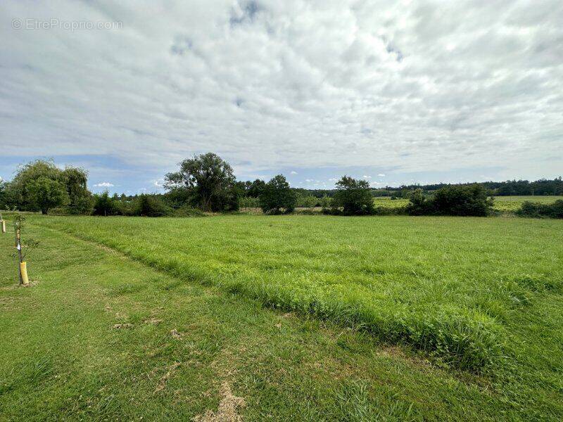 Photo 1 - Terrain à EAUZE