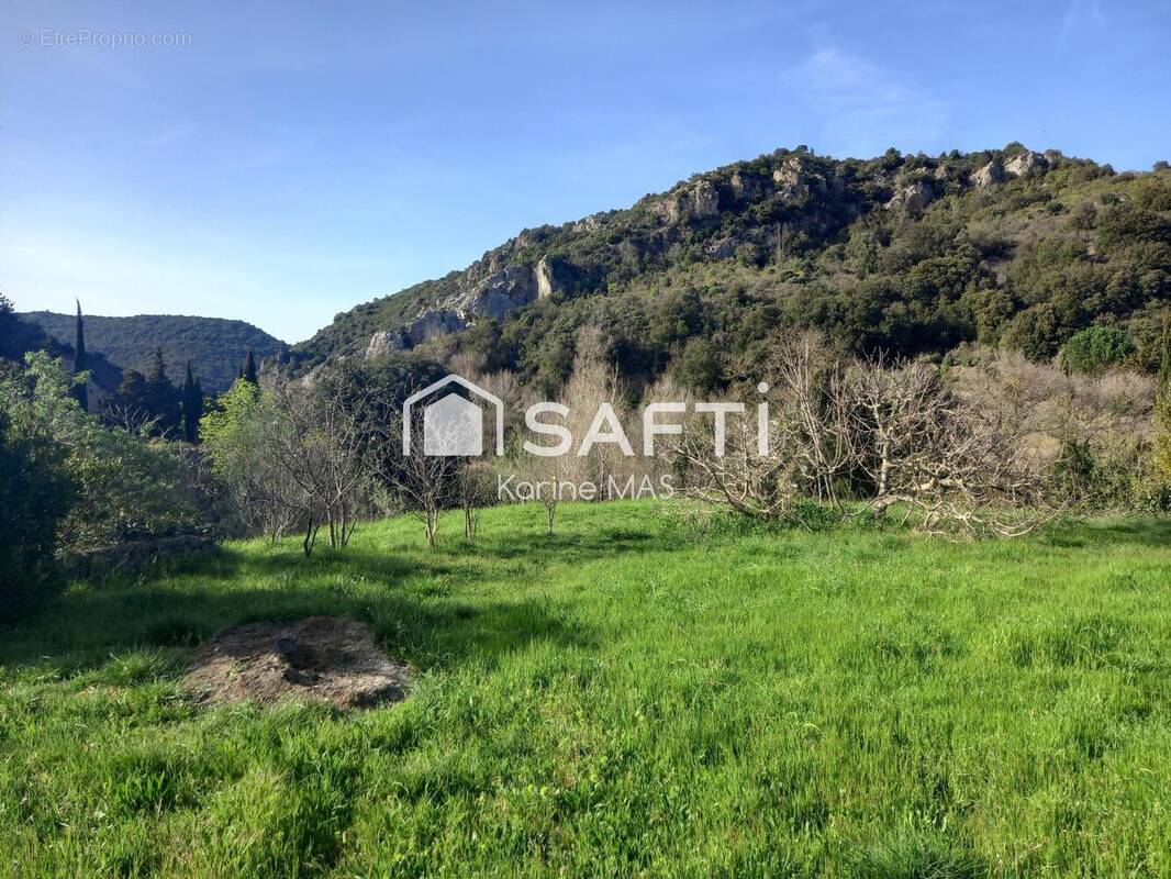 Photo 1 - Maison à FELINES-TERMENES