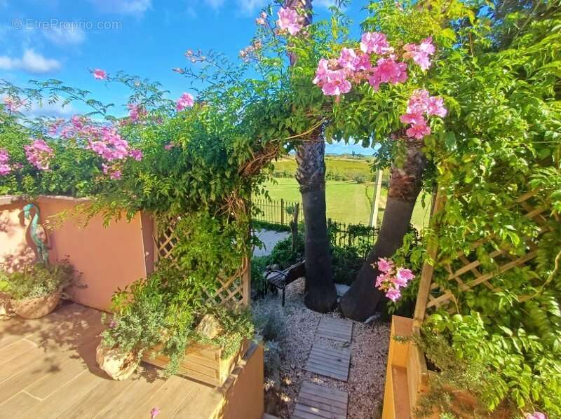 Maison à PUISSALICON