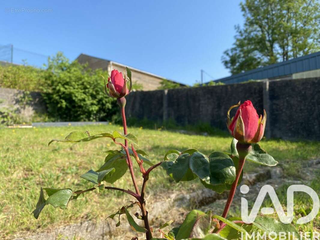 Photo 8 - Maison à BRASPARTS