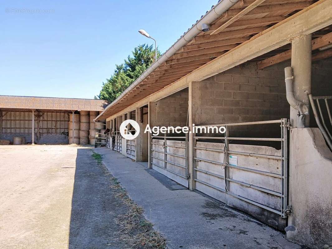 Maison 77 m² à Avoise  - photo 4