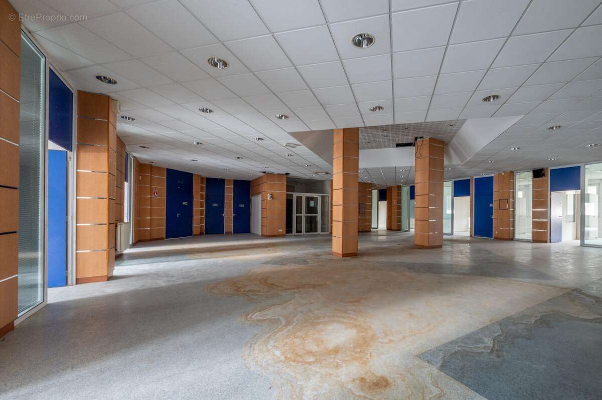 Commerce à ALBERTVILLE