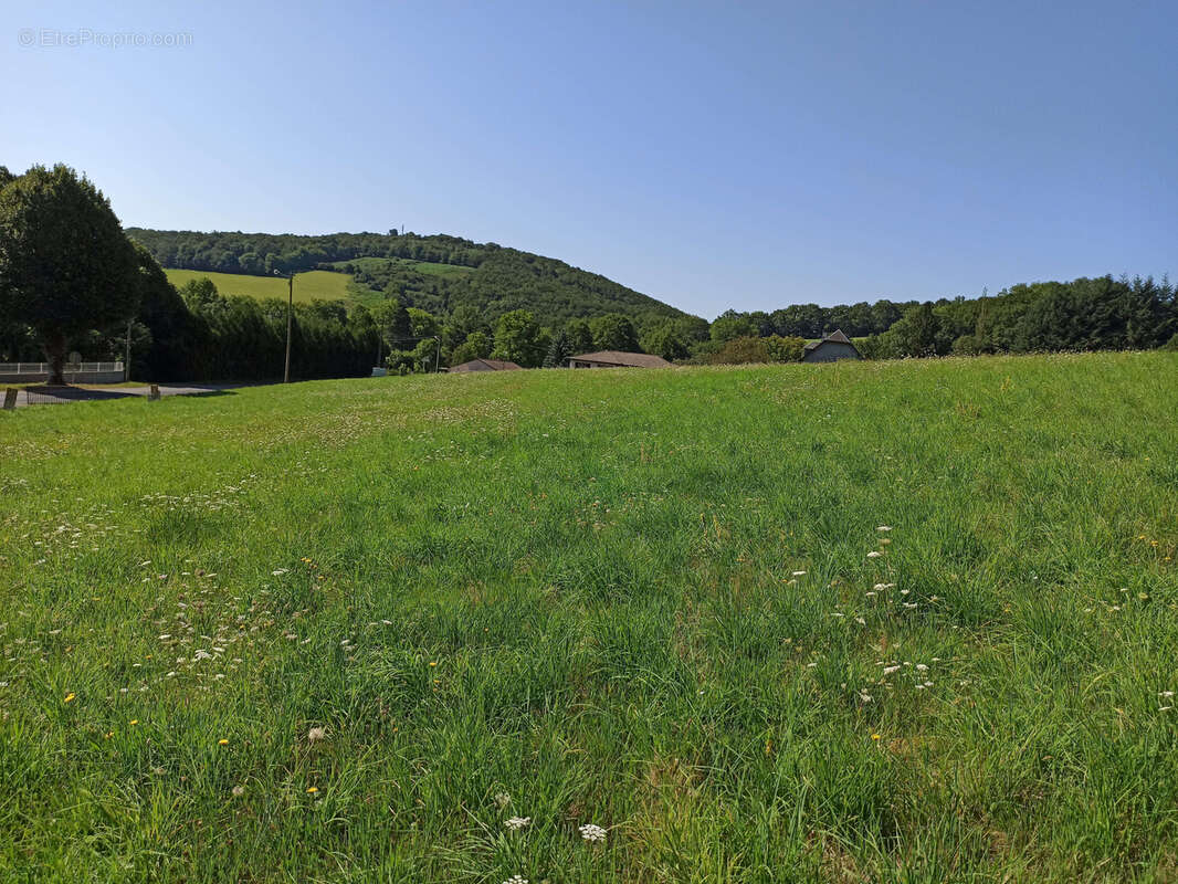 Terrain à LA SALVETAT-SUR-AGOUT