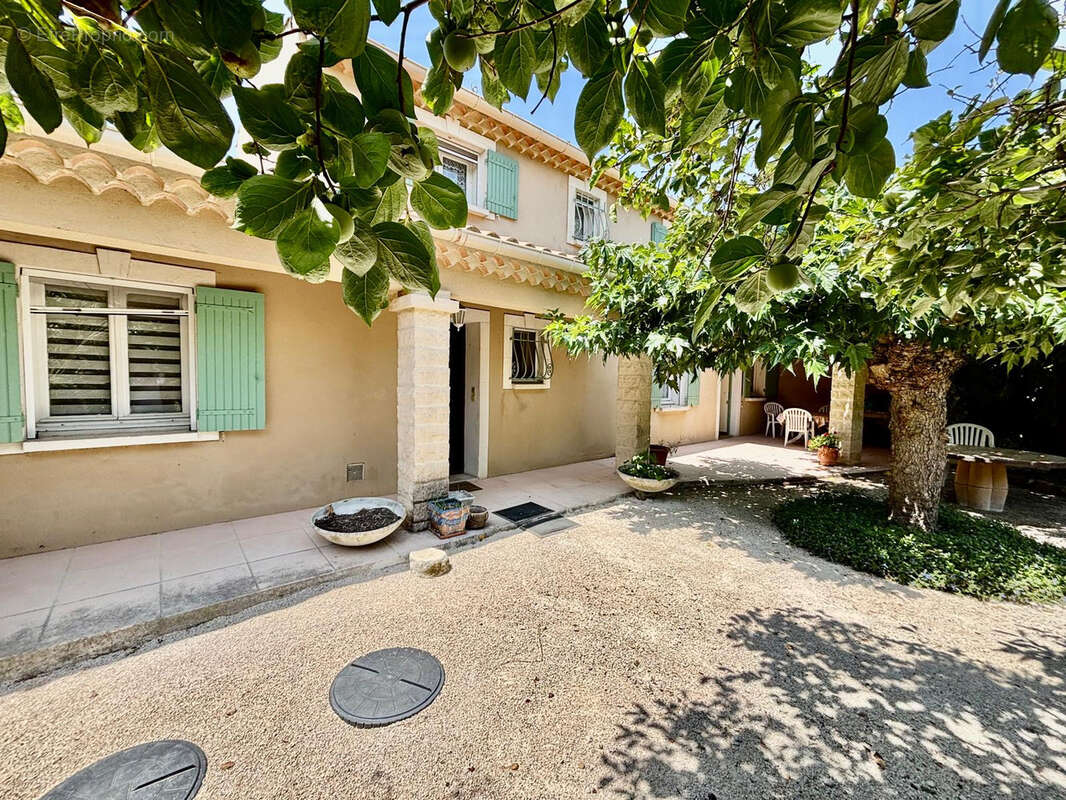 Sainte-cécile-les-vignes villa avec piscine - photo 4