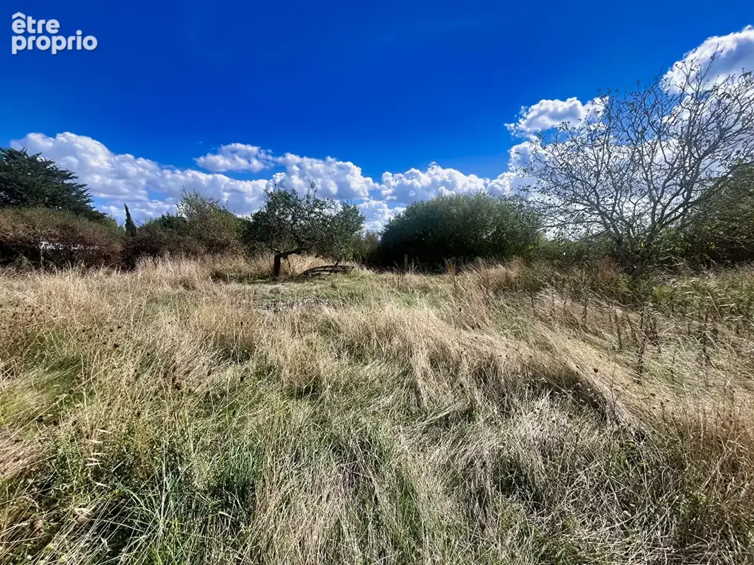 Terrain à MOZE-SUR-LOUET
