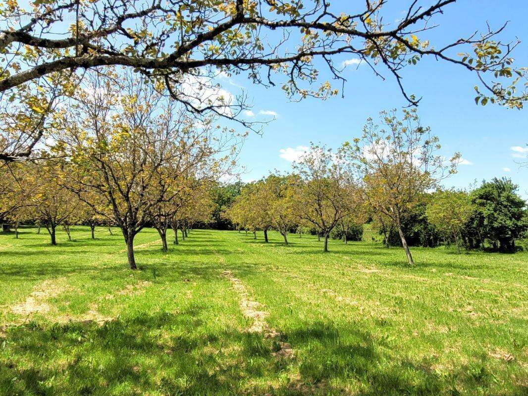 Maison à LISSAC-ET-MOURET