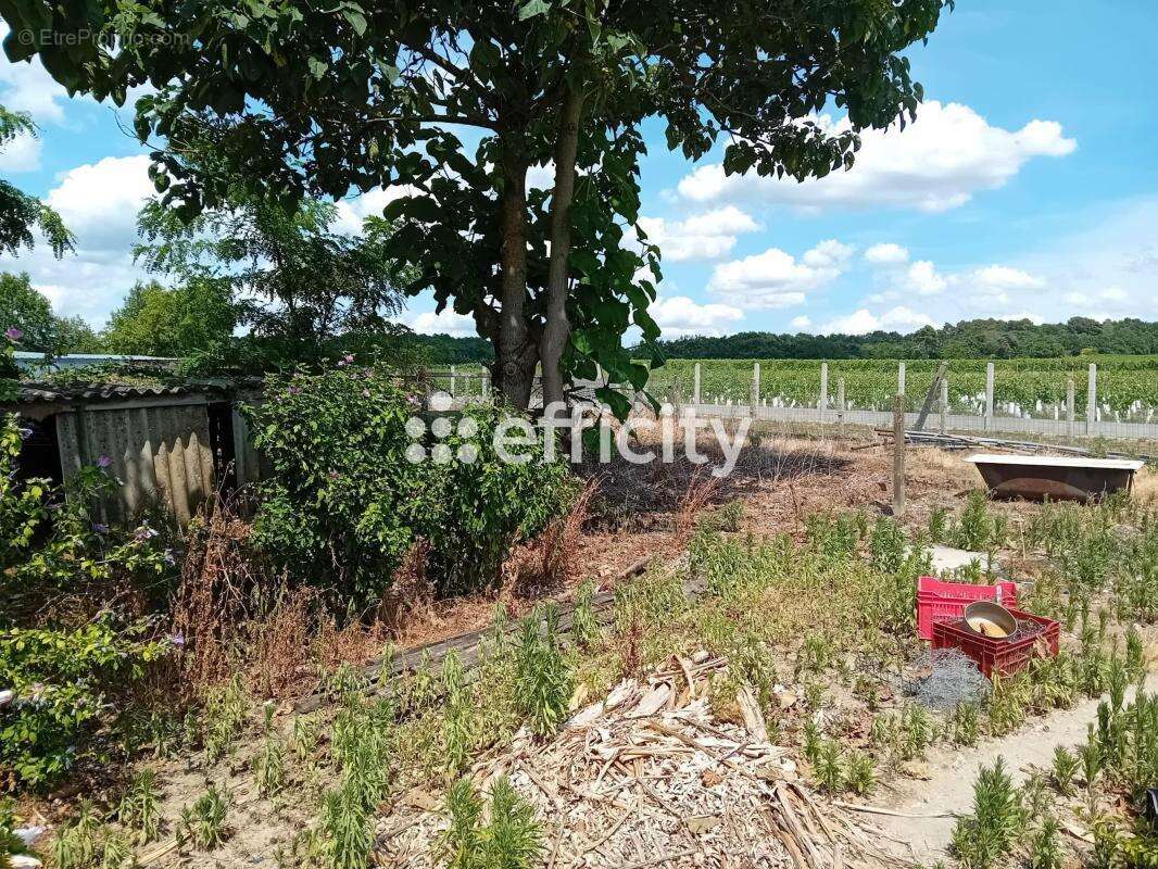 Maison 148 m² à Saint-Patrice  - photo 8