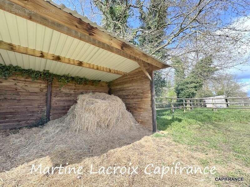 Dpt SARTHE (72), à vendre LA FERTÉ-BERNARD - PROPRIÉTÉ  P5 de 100 m² - Terrain de 10 Ha - photo 19
